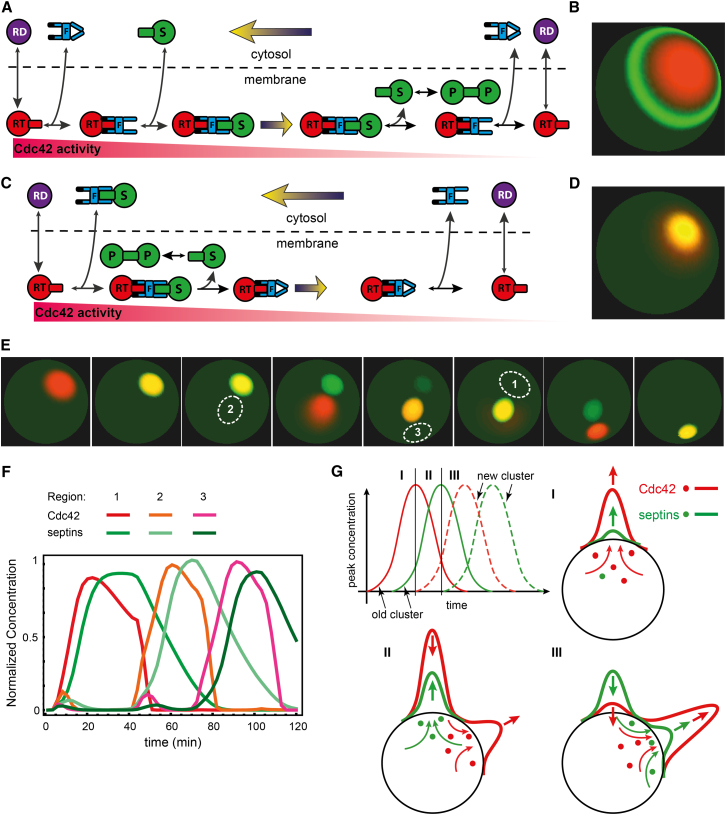 Figure 2