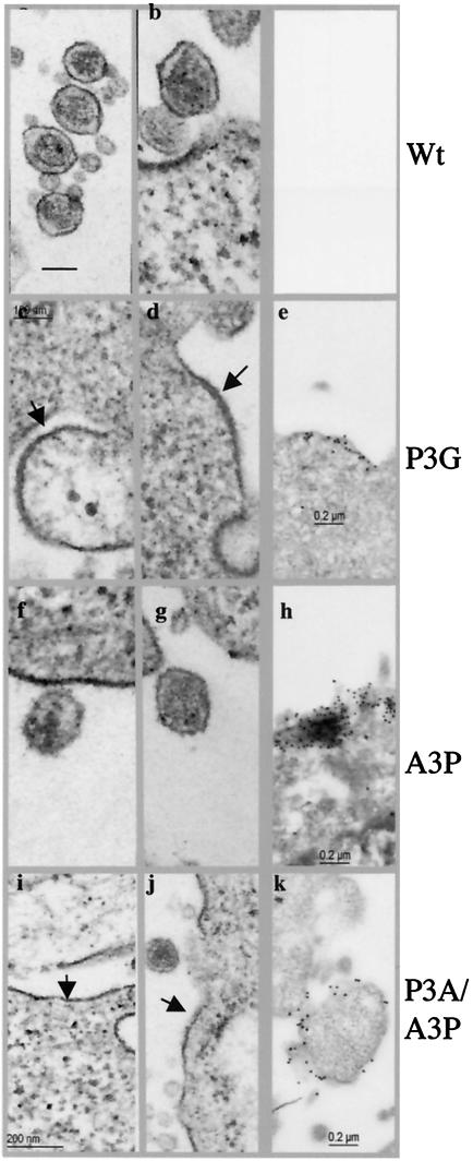 FIG. 5.