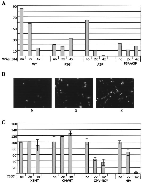 FIG. 7.