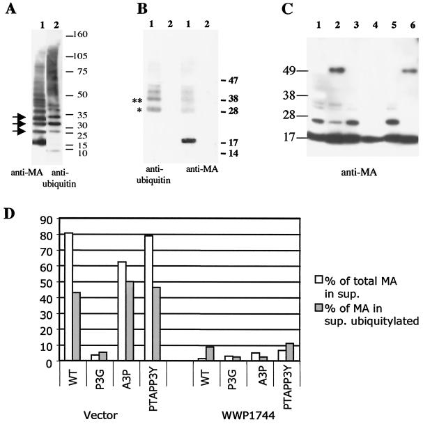 FIG. 8.