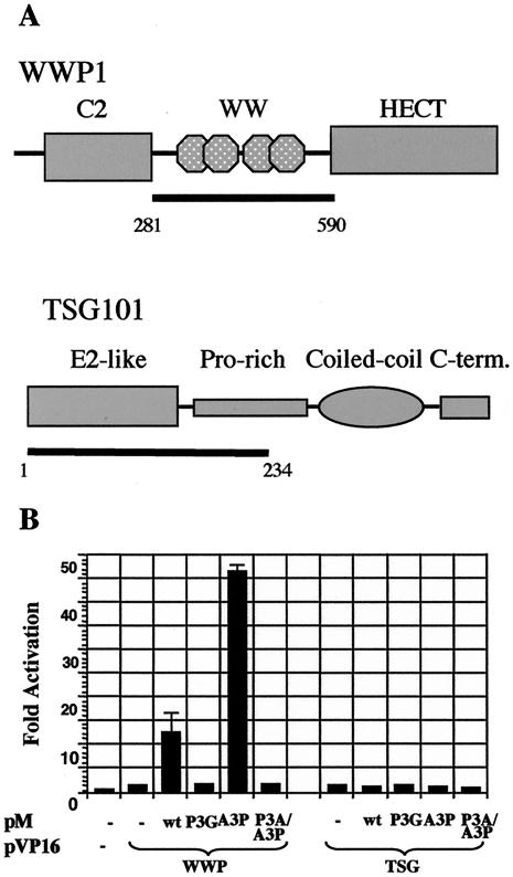 FIG. 6.