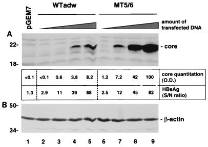 FIG. 5