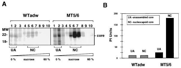 FIG. 4