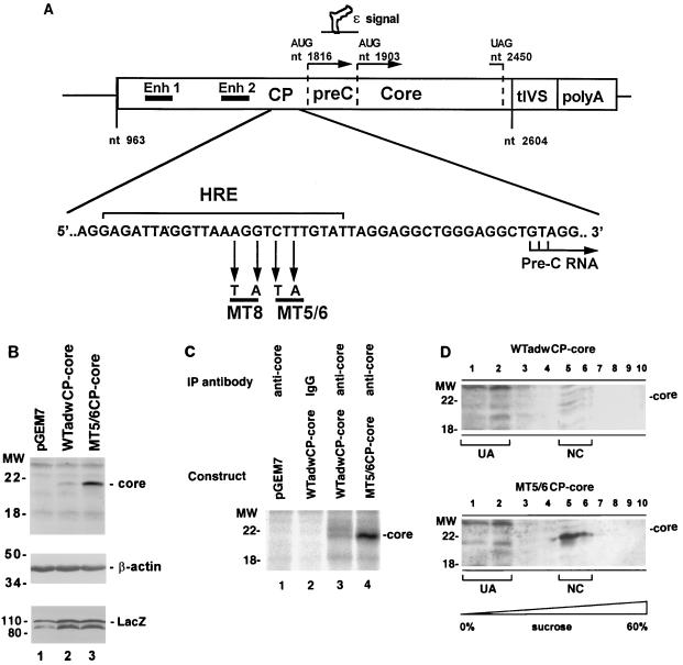 FIG. 7