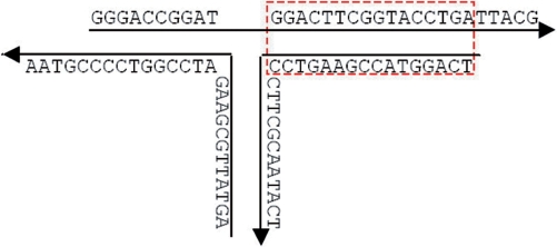 Figure 7.