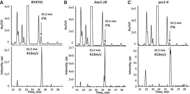 Figure 5.