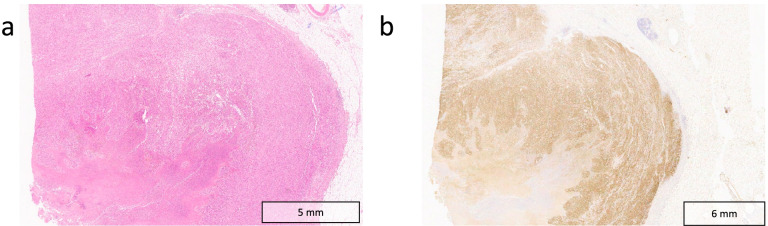 Fig. 5