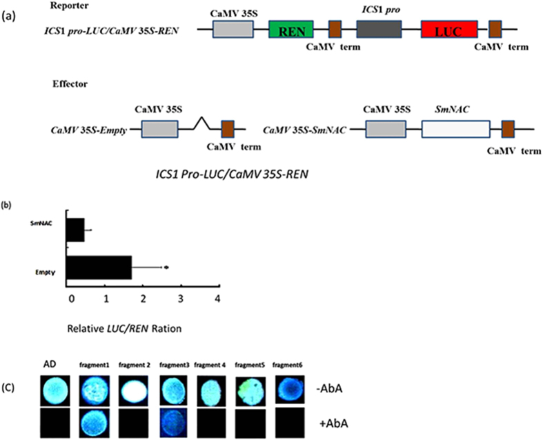 Figure 12