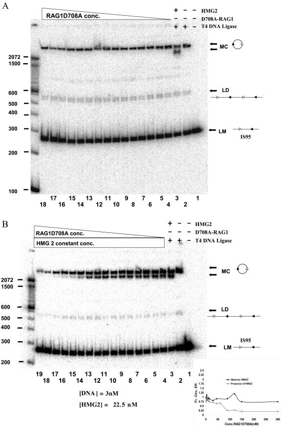 FIG.6.