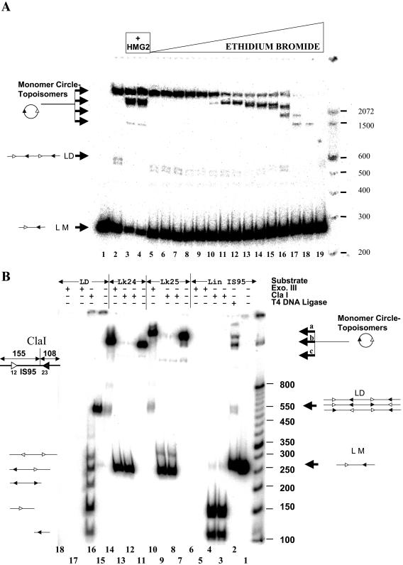 FIG. 4.