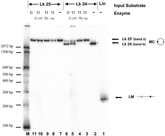 FIG. 5.