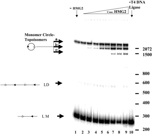 FIG. 3.