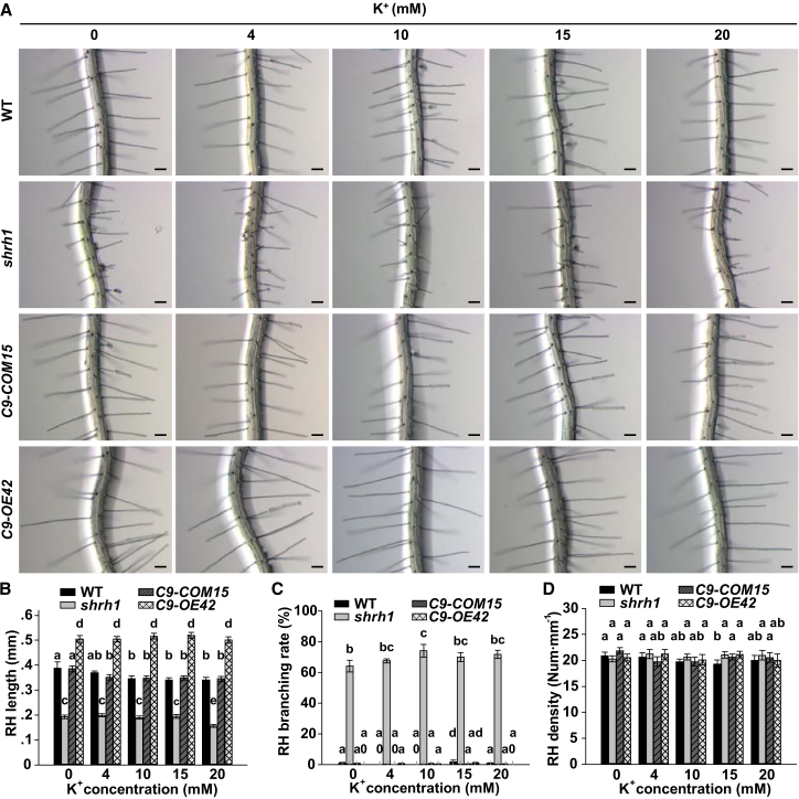 Figure 3