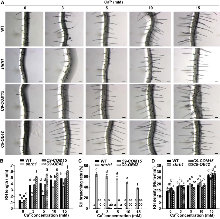 Figure 2