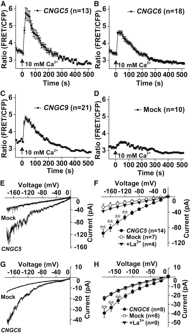 Figure 4