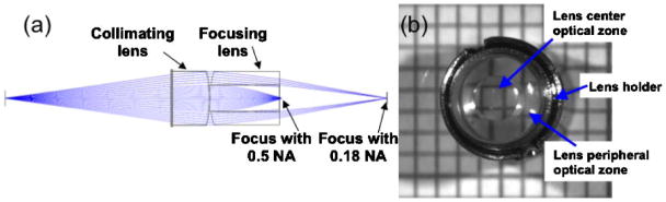 Fig. 1