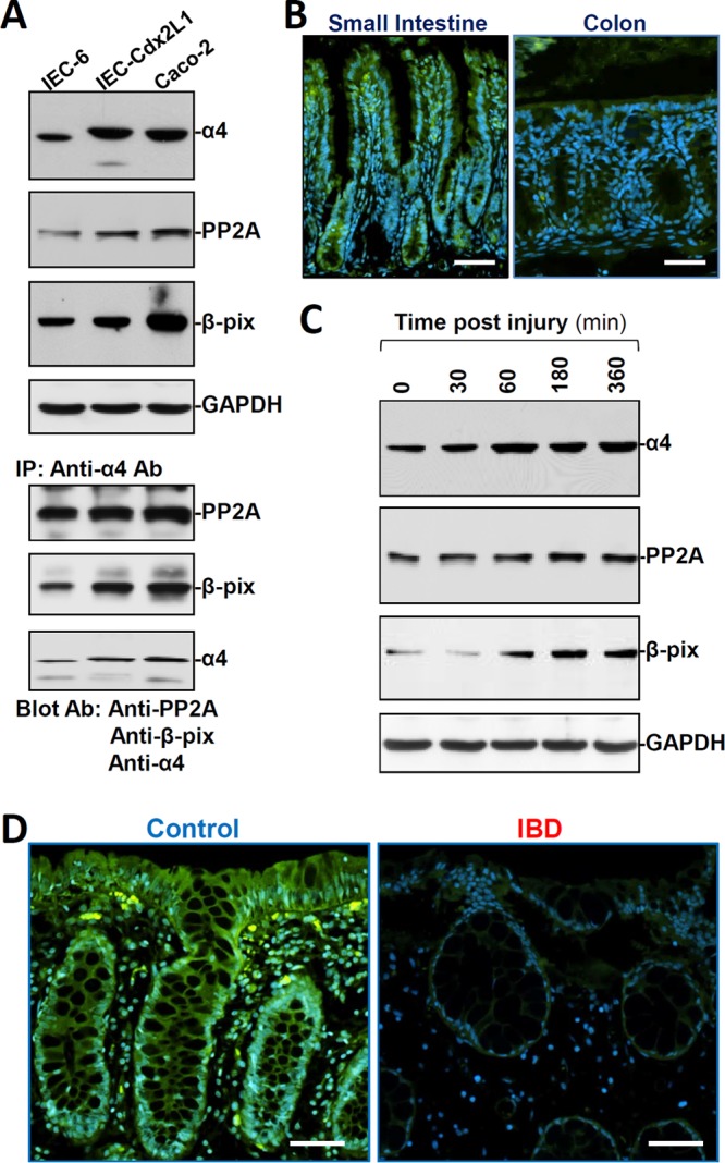 FIG 1