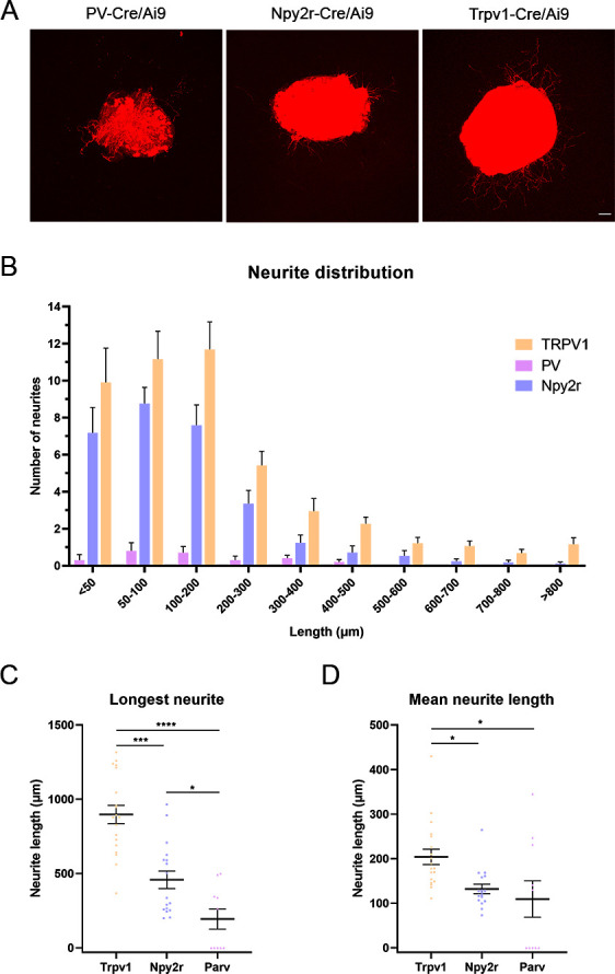 Figure 1—figure supplement 2.