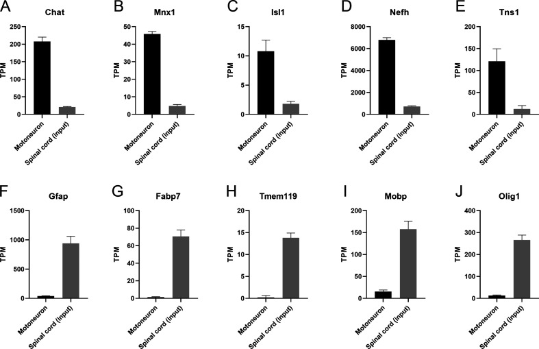 Figure 2—figure supplement 1.