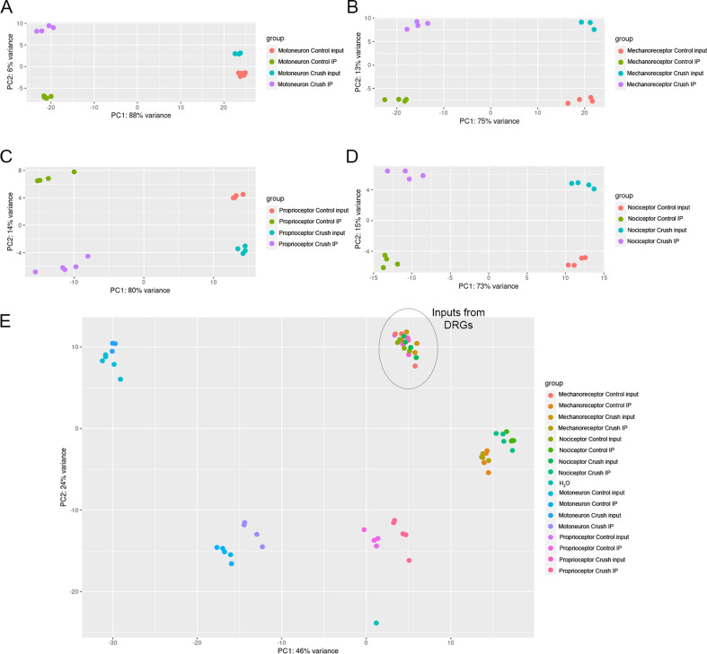 Figure 2—figure supplement 3.