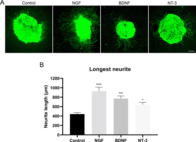 Figure 5—figure supplement 1.