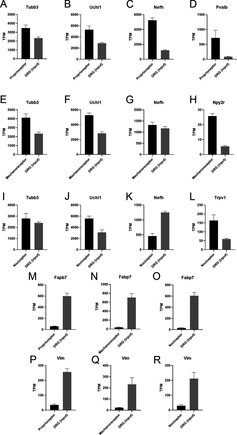 Figure 2—figure supplement 2.