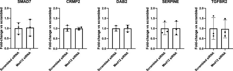 Figure 6—figure supplement 1.