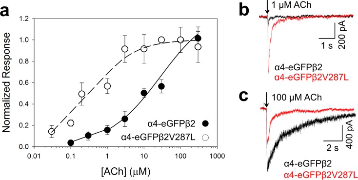 Fig 7