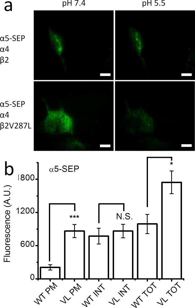 Fig 8