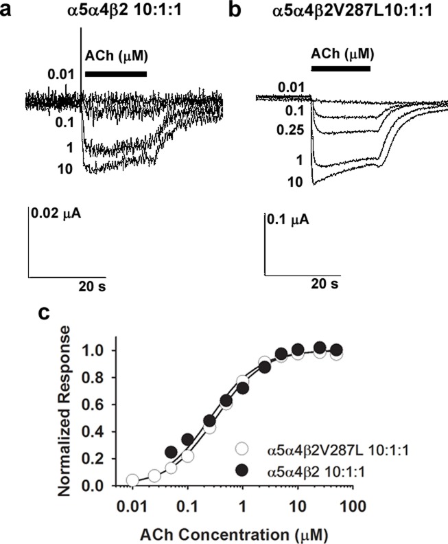 Fig 4