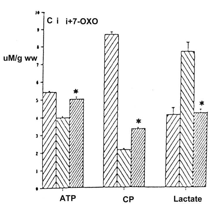 Figure 3)