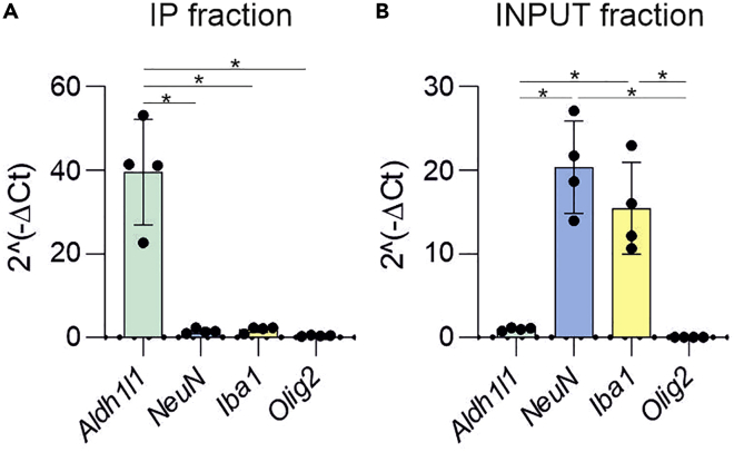 Figure 6