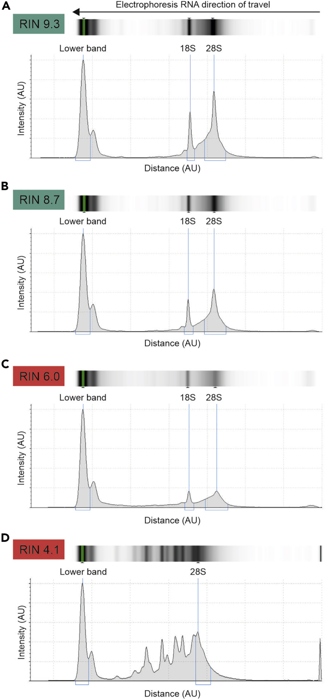 Figure 5