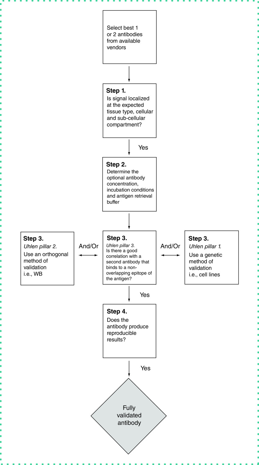 Figure 1. 