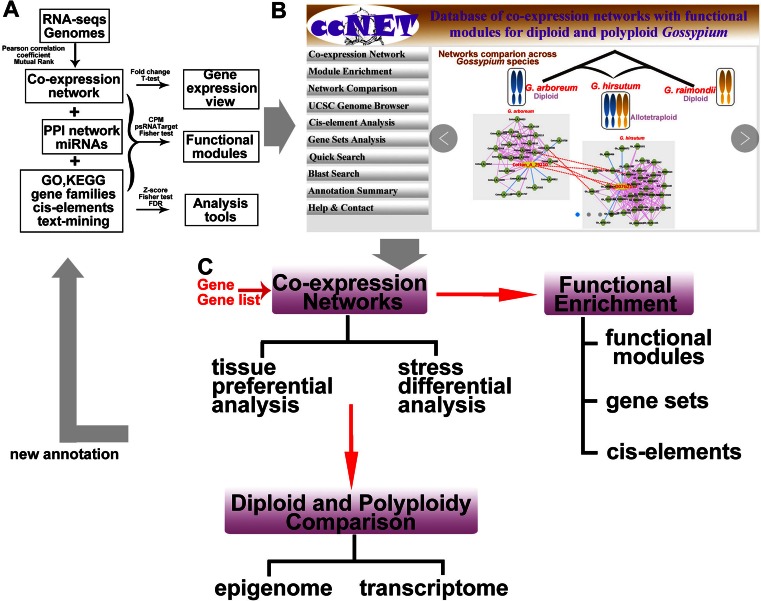 Figure 3.