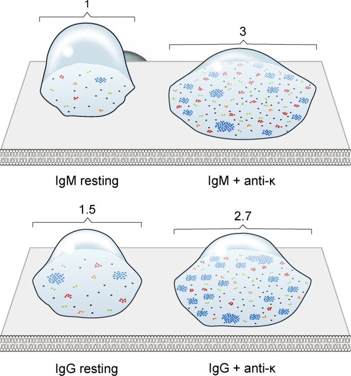 FIGURE 4: