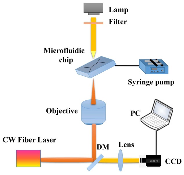 Fig. 3