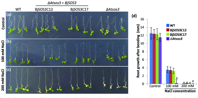 Fig. (3)