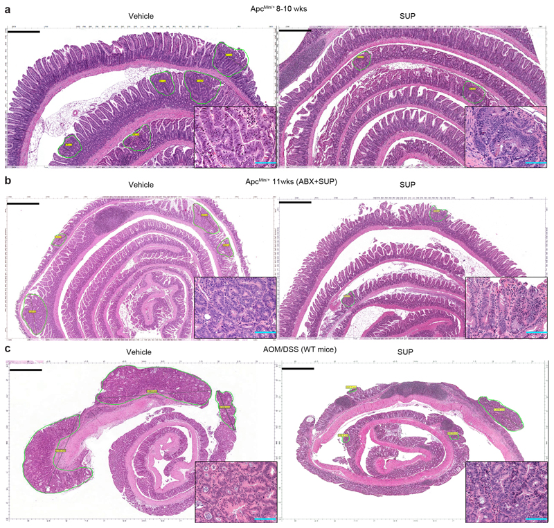 Extended Data Fig. 6