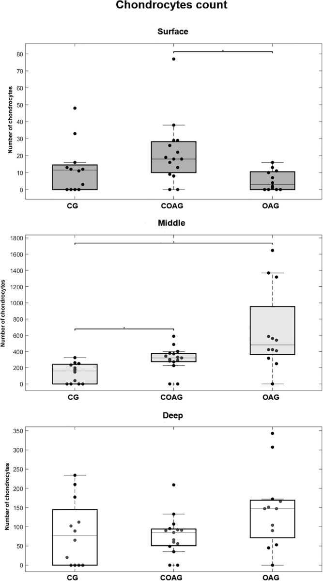 Fig 10