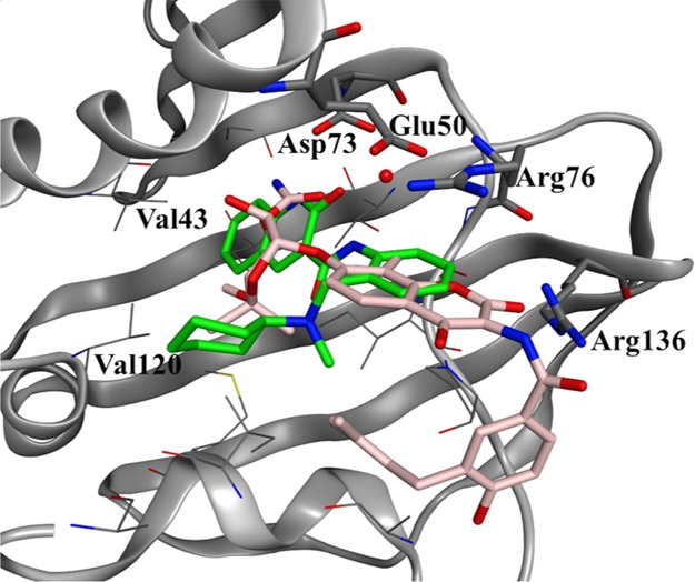 Figure 5