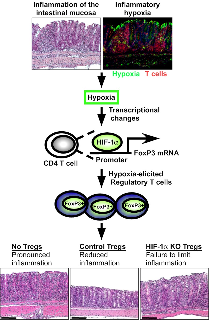 Fig. P1.