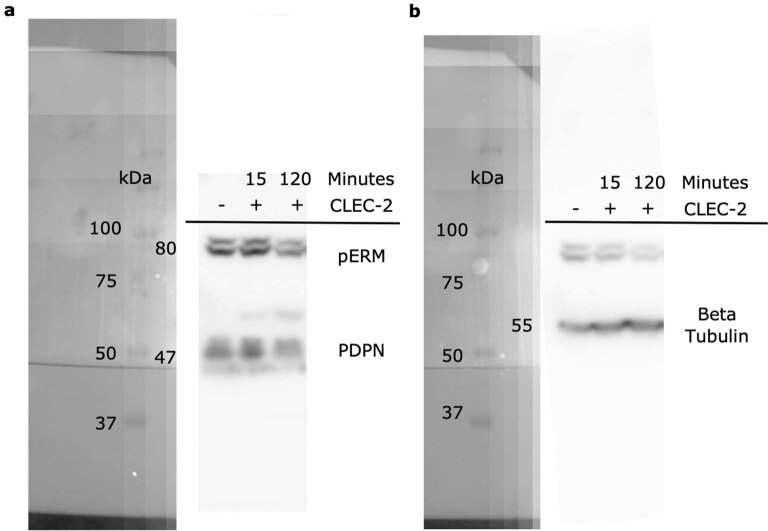 Extended Data Fig. 10