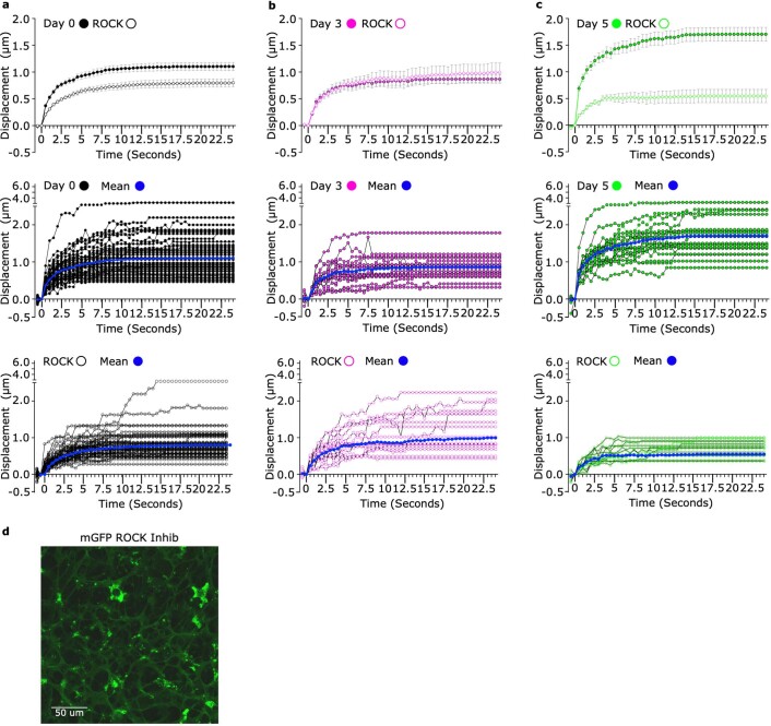 Extended Data Fig. 3