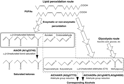 FIGURE 9.