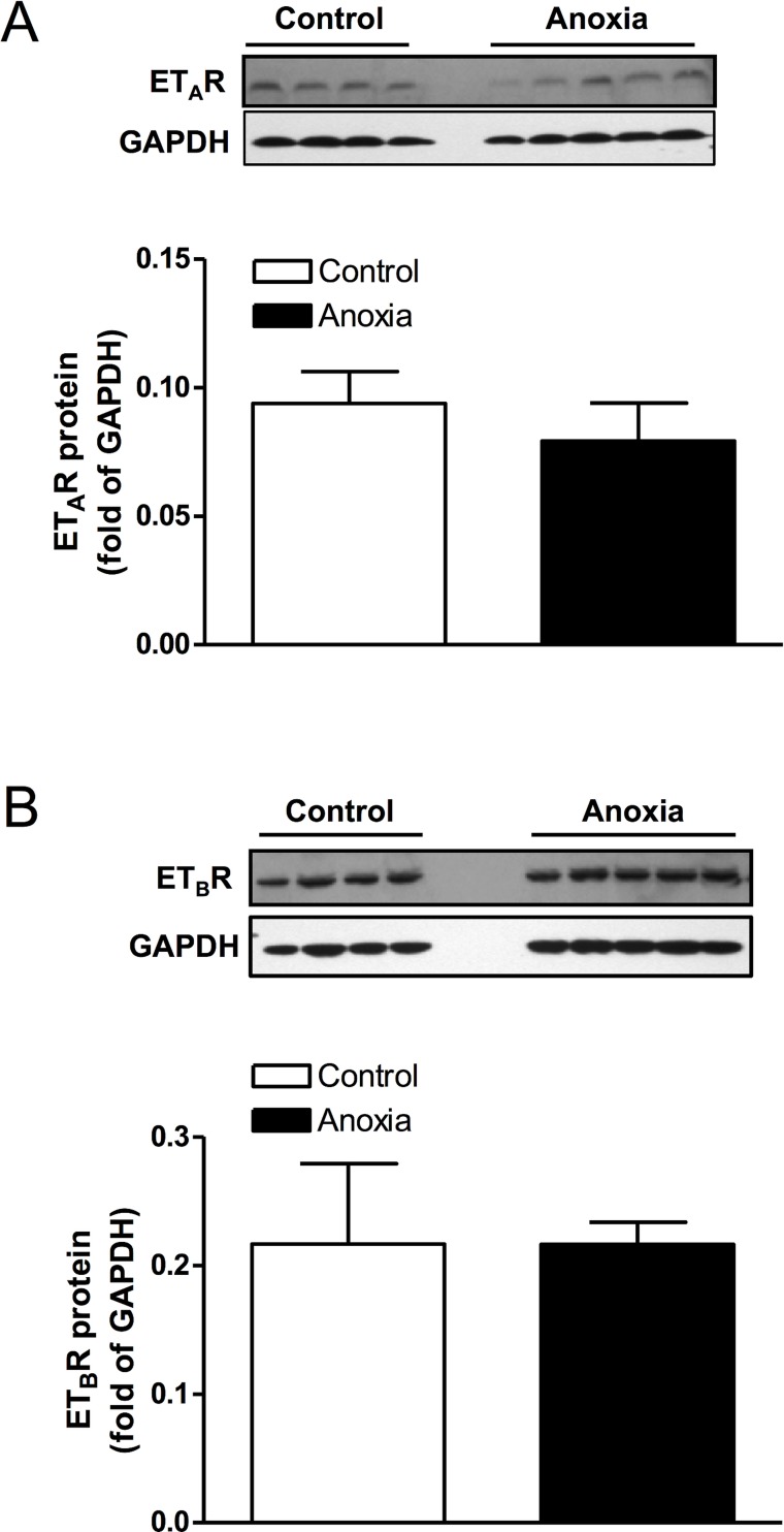 Fig 8