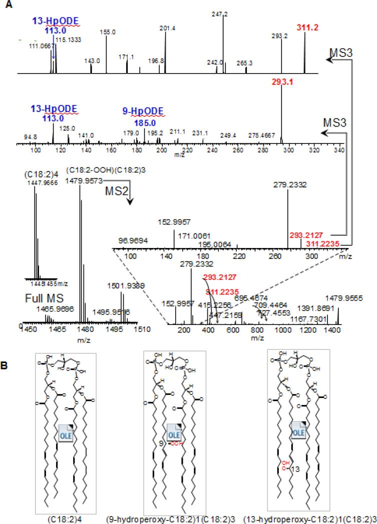 Fig. 4