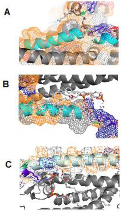 Fig. 6