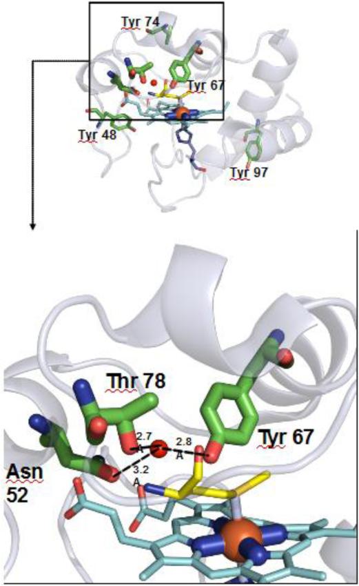 Fig. 8