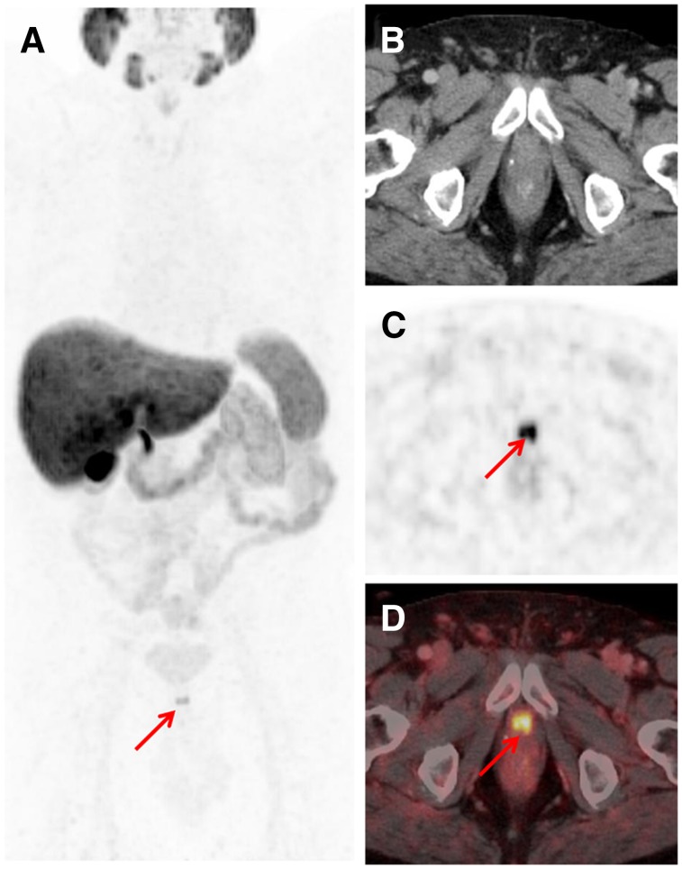 FIGURE 3.